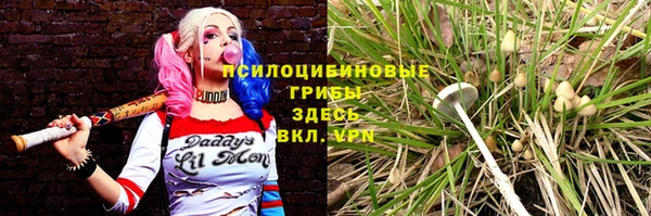 гашик Киреевск