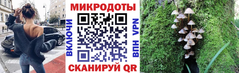 Галлюциногенные грибы MAGIC MUSHROOMS  Купить  Богданович 